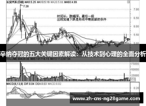 辛纳夺冠的五大关键因素解读：从技术到心理的全面分析